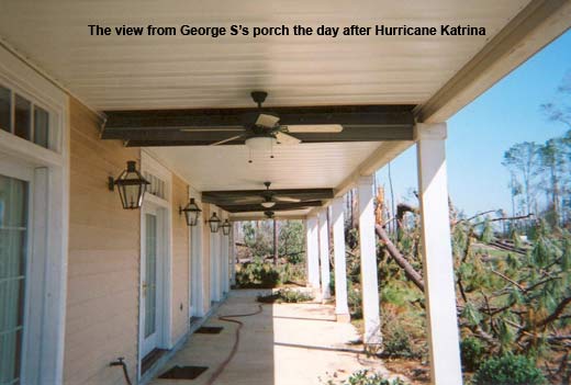 Pine grove destroyed by Hurricane Katrina