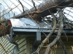 Tree fell on corner of home with minimal damage